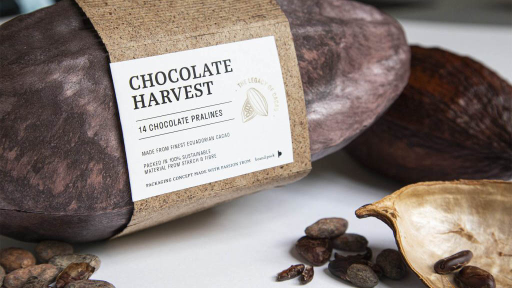 LEGACY OF CHOCOLATE